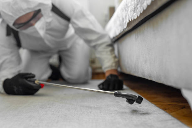 Professional Bed Bug Control technician working in Sitka, AK