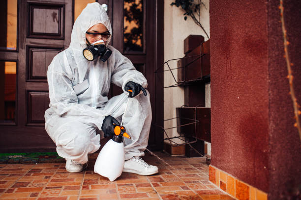 Reliable Bed Bug Control contractor in Sitka, AK by Nex Pest Control